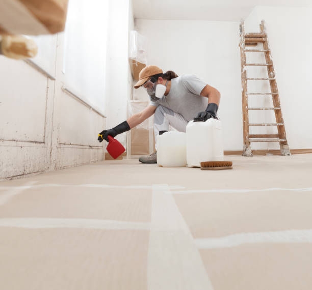 Mold Odor Removal Services in Ocklawaha, FL